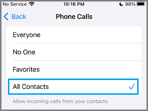 iPhone Contact Option